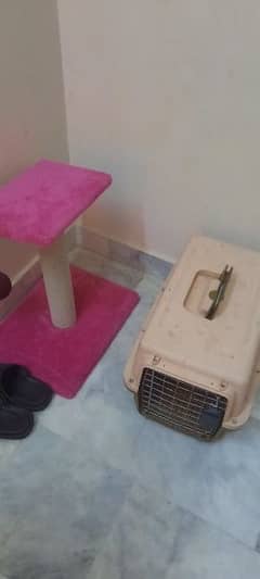 cat house imported amd cat playing table 0