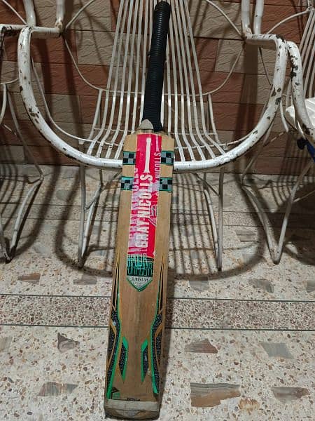 Gray Nicholls Kashmir willow bat 1