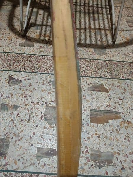 Gray Nicholls Kashmir willow bat 2