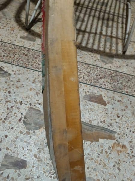 Gray Nicholls Kashmir willow bat 3