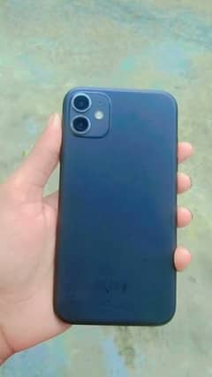 iPhone 11 0