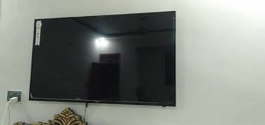 LCD sumsung size 55 inch 03102195600