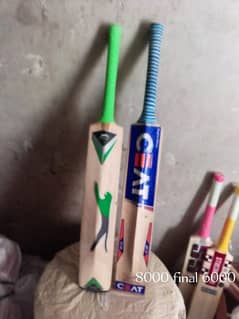 Hardball Cricket Bat