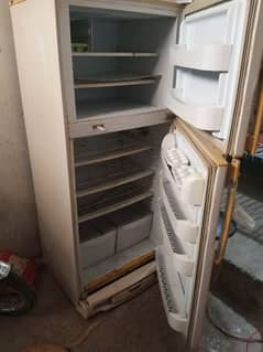 PEL Fridge for sale