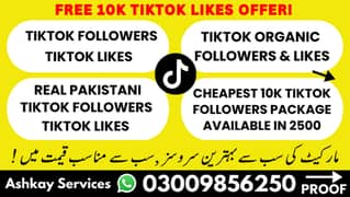 Organic Tiktok Followers Tiktok Likes Provider | Free 10K Likes Offer! 0