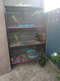 3 portion Cage good condition 03168597545 0