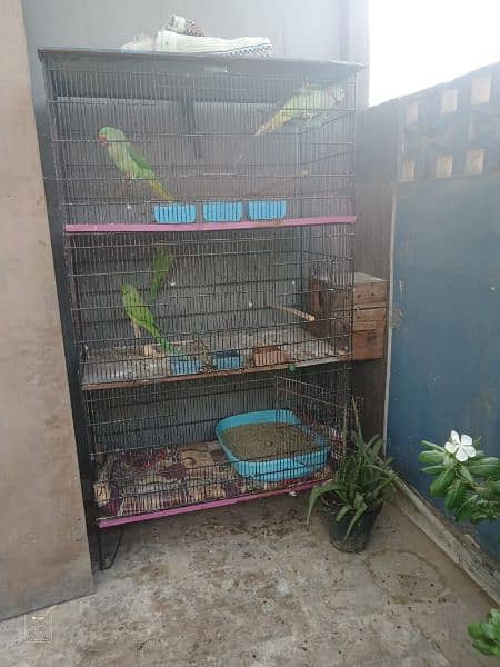 3 portion Cage good condition 03168597545 0