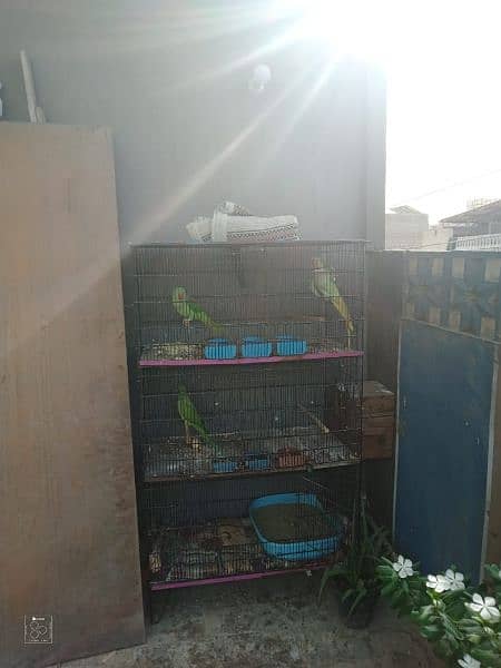 3 portion Cage good condition 03168597545 3