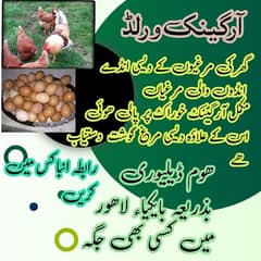 fresh desi organic eggs & chiken 0