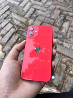 IPhone 12 Mini