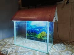 Fish Aquarium 0