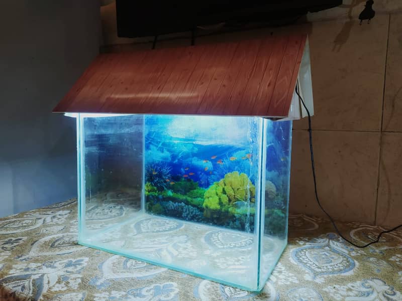 Fish Aquarium 0