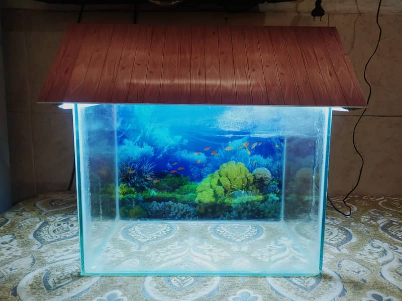 Fish Aquarium 4