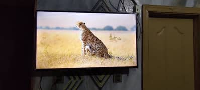 Tcl led s6500 40inch brand new condetion