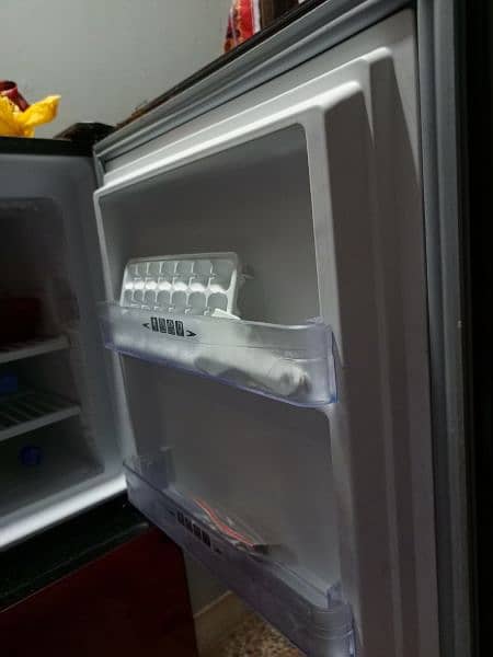 dawnlance fridge medium size 8