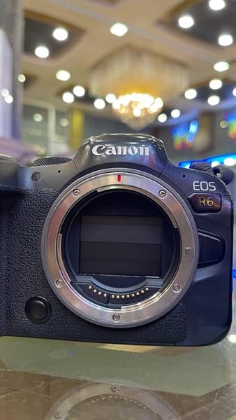 canon R6 8