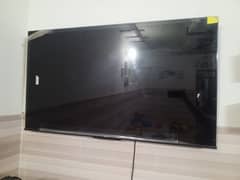 hisense 55 inch lcd