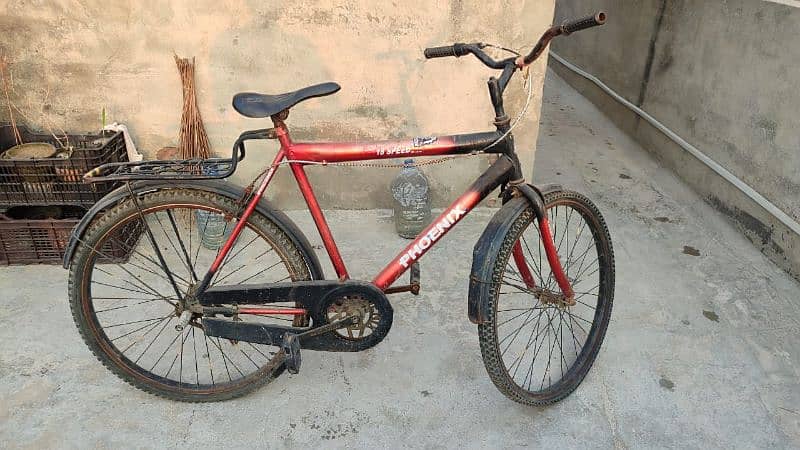 Phoenix cycle for sale 1