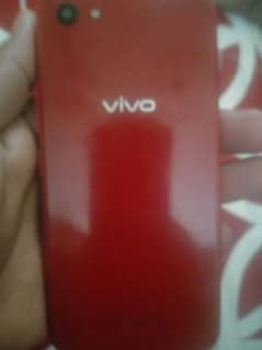 vivo