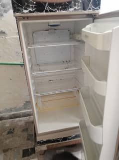 Full size Fridge