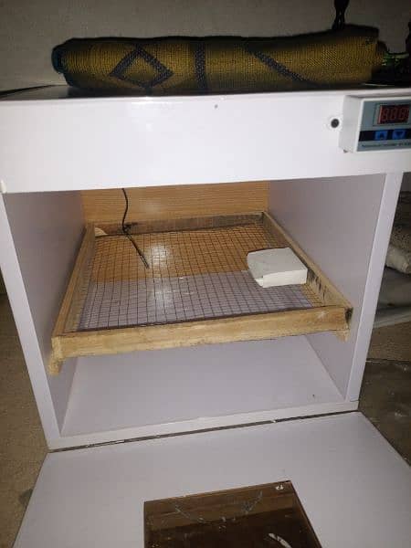 manual & automatic incubator, brooder 30,50,100,150,240,320,500 eggs 11