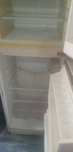 Fridge Medium size with stand