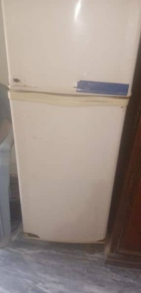 Fridge Medium size with stand 2