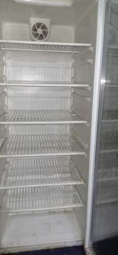 freezer shop 03098086544