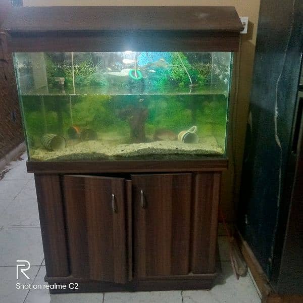 Aquarium for Sale 1