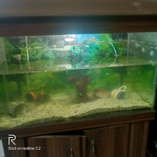 Aquarium for Sale 2