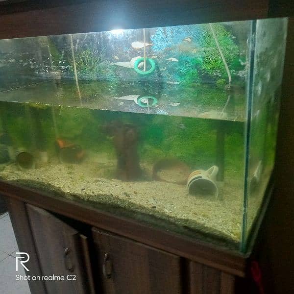 Aquarium for Sale 3