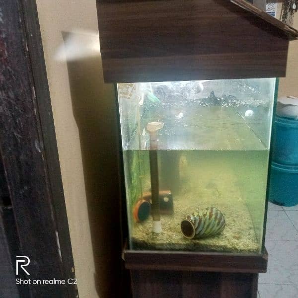 Aquarium for Sale 4