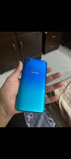 vivo