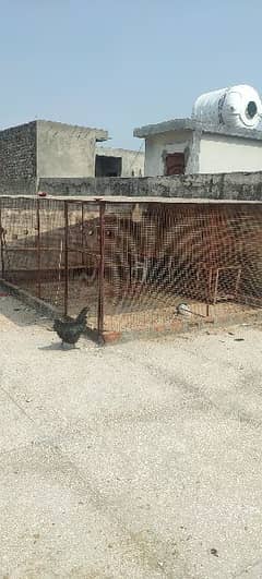 Hen Cage/Birds house/penthouse heavy cage for sale