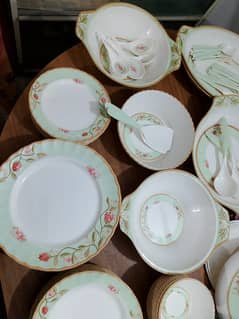 Brand New Plastic Dinner set DMW Dove melamine ware available for sale