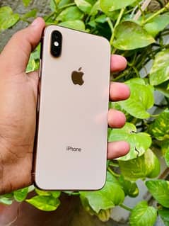 iphone xs