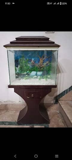 Fish equarium