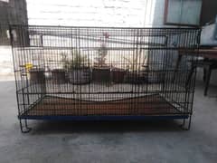 parrot breeding cage