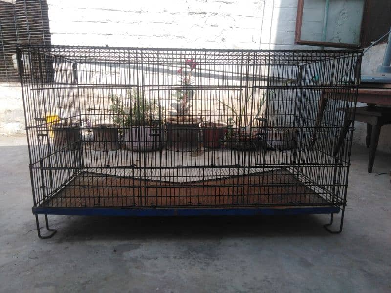 parrot breeding cage 0