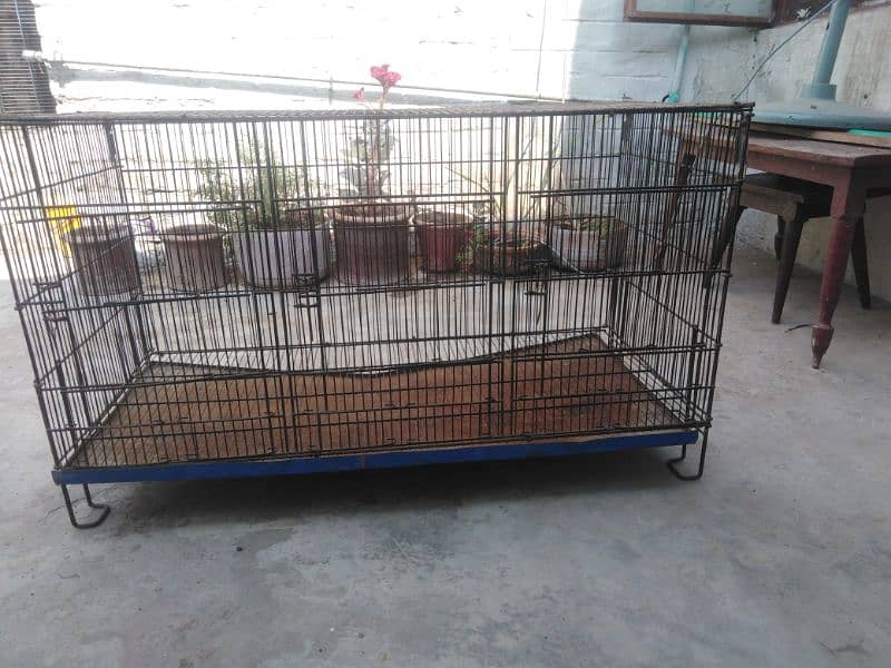 parrot breeding cage 1