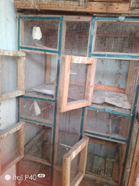 wooden cage for sale 1