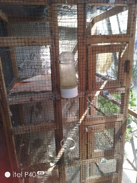 wooden cage for sale 2