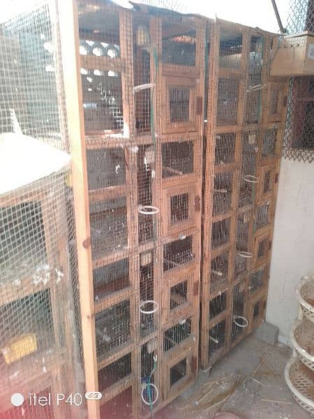 wooden cage for sale 3