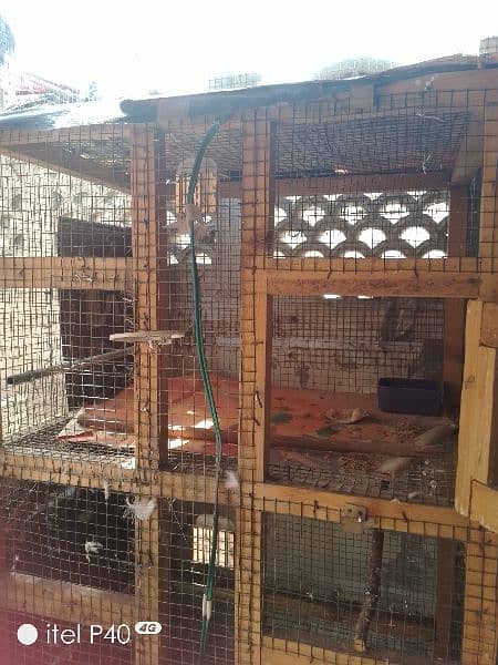 wooden cage for sale 4