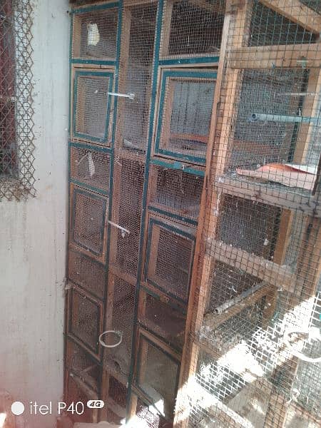 wooden cage for sale 5