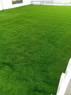 Artifical grass | Astro turf | Grass | Outdoor grass | School grass