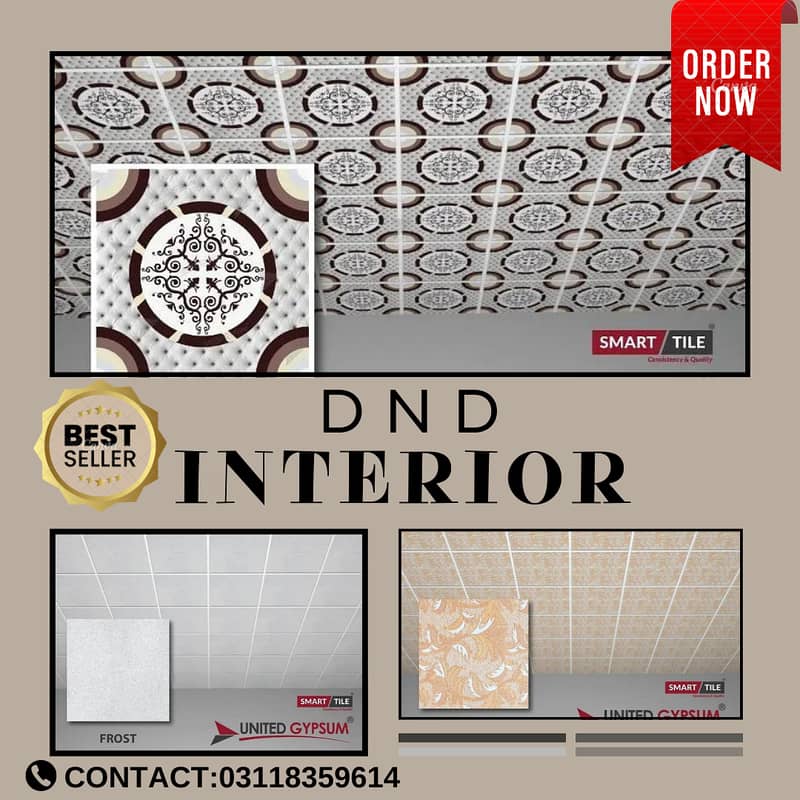 False ceiling (2 x 2)/Roof ceiling/Ceiling 0