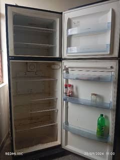 Jambo size freezer 10/10 condition