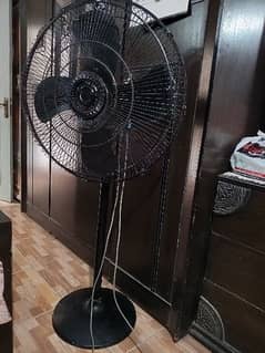 Royal Pedestal Fan ( Large ) 0