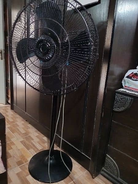 Royal Pedestal Fan ( Large ) 1